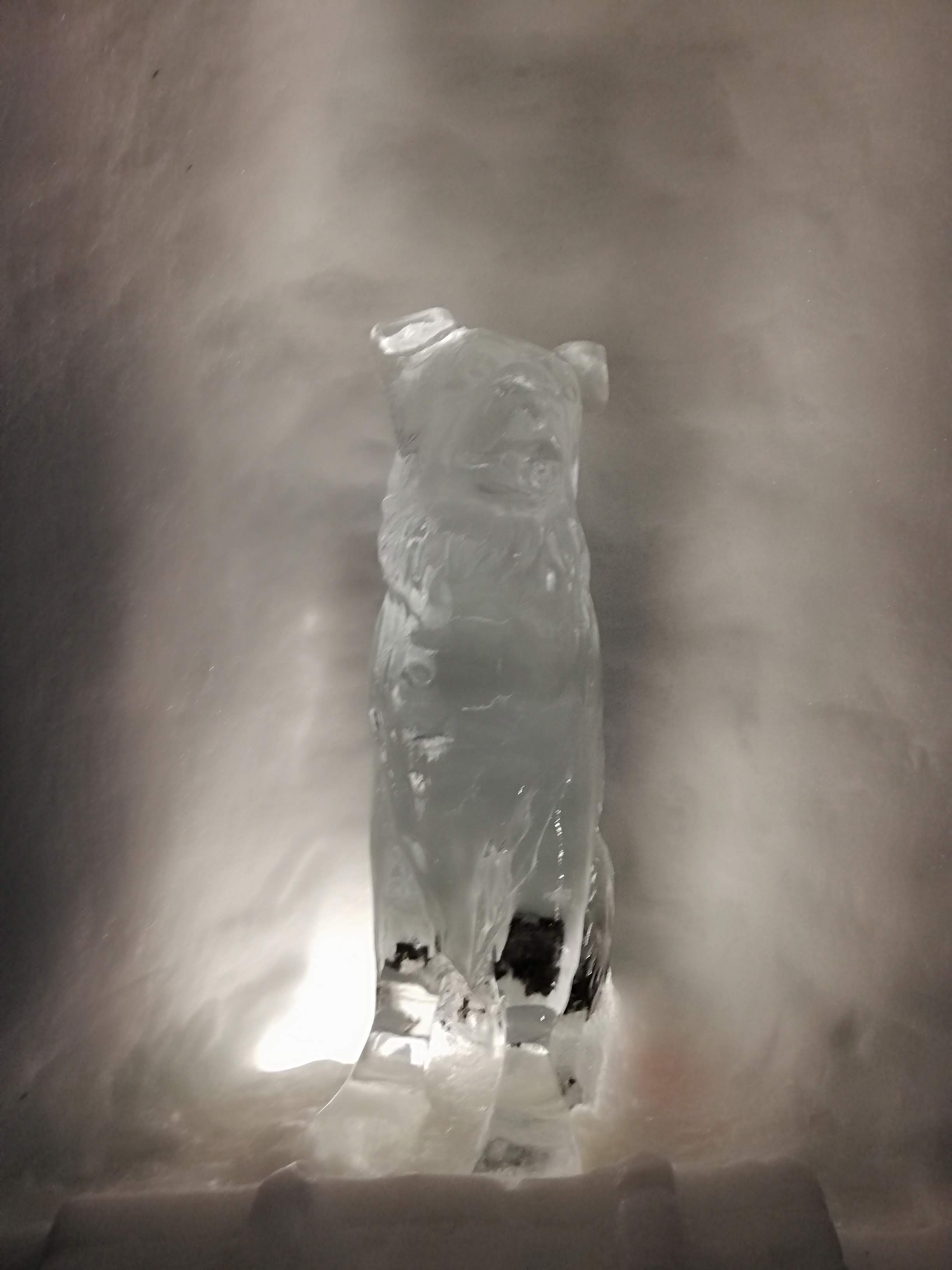 Photo n° 4 de l'avis de Aspat.s fait le 05/04/2019 à 18:56