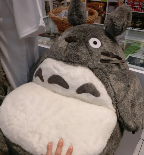 Gift Shop «Anime Zakka», reviews and photos, 36 John F. Kennedy St, Cambridge, MA 02138, USA