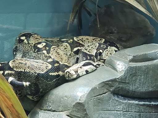 Zoo «John Ball Zoo», reviews and photos, 1300 West Fulton Street, Grand Rapids, MI 49504, USA