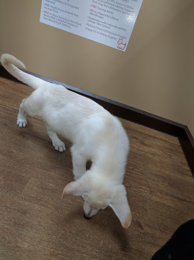 Pet Store «Petland Lancaster», reviews and photos, 1400 River Valley Cir N, Lancaster, OH 43130, USA