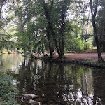 Photo n°3 de l'avis de Lucio.l fait le 17/08/2022 à 15:21 sur le  Canto alla Rana à Stia