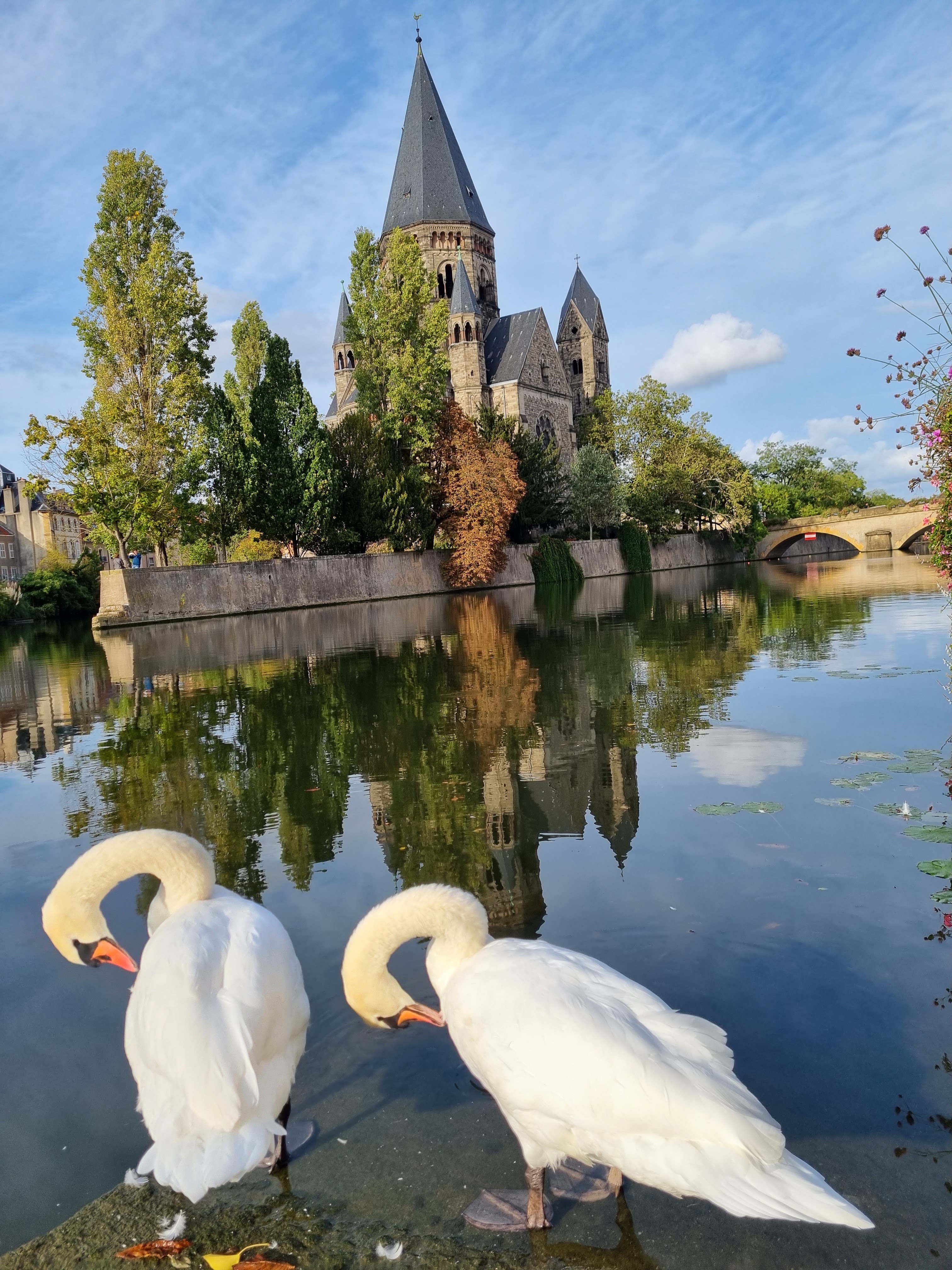 Photo n° 1 de l'avis de Michael. fait le 04/10/2023 à 18:51