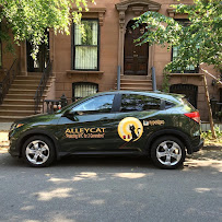 Alley Cat Exterminating Co Inc - Photo 2 - Car repair in Brooklyn, NY, Brooklyn