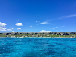 Foto di Pajaros beach con costa lunga e dritta