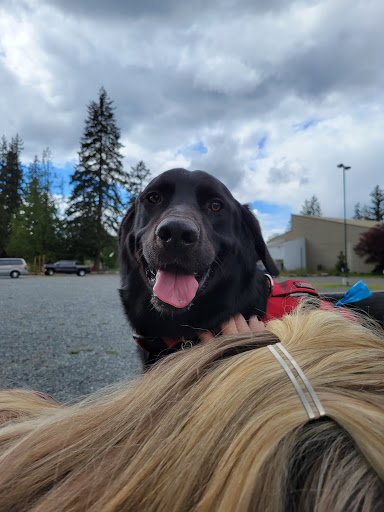 Park «Meridian Habitat Park & Community Center», reviews and photos, 14422 Meridian E, Puyallup, WA 98375, USA