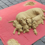 Photo n°1 de l'avis de wahiba.a fait le 31/07/2022 à 21:55 sur le  Döner, Bärlin Kebab & Streetfood à Bielefeld