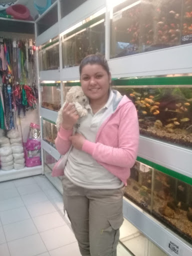 Artemis Pet Store