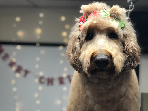 The Barker Shop of Spencerville LLC