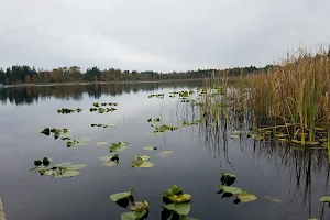 Lake Cassidy image