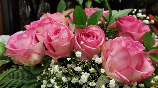 Supermarket «Publix Super Market at Trenholm Plaza», reviews and photos, 4840 Forest Dr #10, Columbia, SC 29206, USA