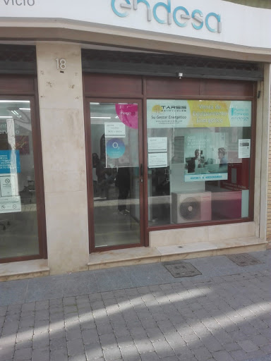 Tarsis Renovables Sl - Punto de Servicio Endesa