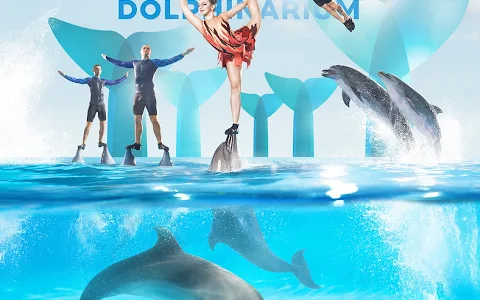 Dolphinarium Pattaya image