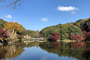 Shikisai no Mori Yakushiike Park image