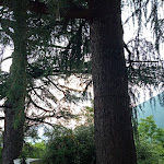 Photo n°7 de l'avis de Aldo.n fait le 09/06/2022 à 05:42 sur le  Agriturismo il Castello à Concesio