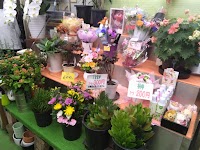 サウンドフラワー おかもと