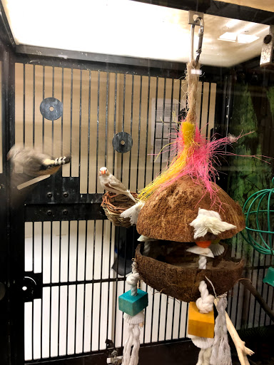 Pet Supply Store «PetSmart», reviews and photos, 6060 Long Prairie Rd, Flower Mound, TX 75028, USA