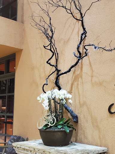 Club «Bay Club Courtside», reviews and photos, 14675 S Winchester Blvd, Los Gatos, CA 95032, USA