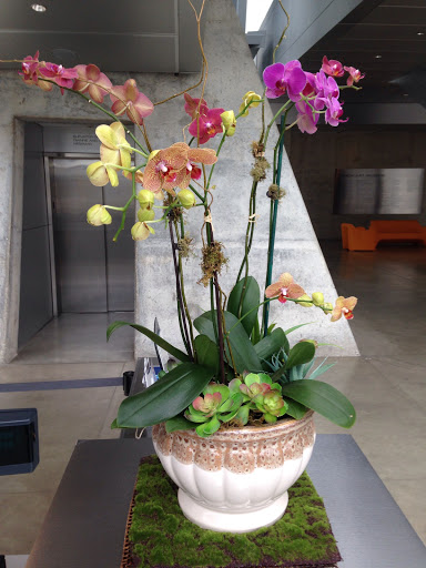 Florist «House of Plants Florist Inc», reviews and photos, 1670 Merriman Rd, Akron, OH 44313, USA