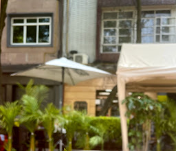 Limantour Polanco photo