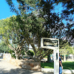 Photo n°4 de l'avis de Fernanda.u fait le 02/05/2022 à 21:43 sur le  Restaurante Chico Zé à Faro