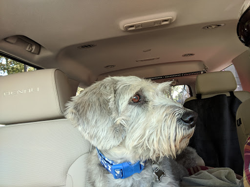 Pet Supply Store «PetSmart», reviews and photos, 30 Malphrus Rd, Bluffton, SC 29910, USA