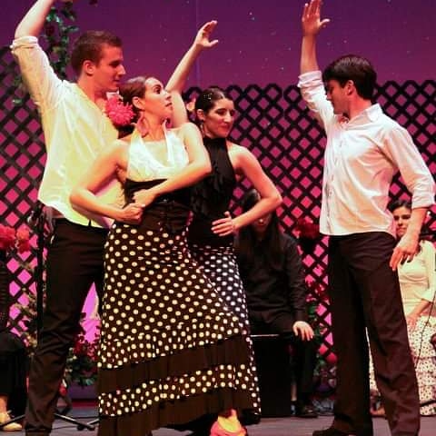 Flamenco Sangre Mestiza