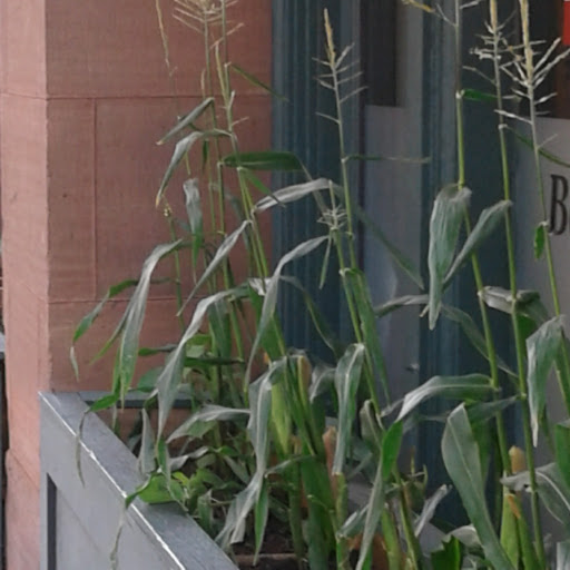 Wine Store «Lowertown Wine & Spirits», reviews and photos, 262 4th St E # 101, St Paul, MN 55101, USA