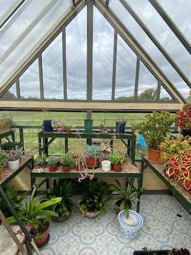 Cultivar Greenhouses - Wrexham