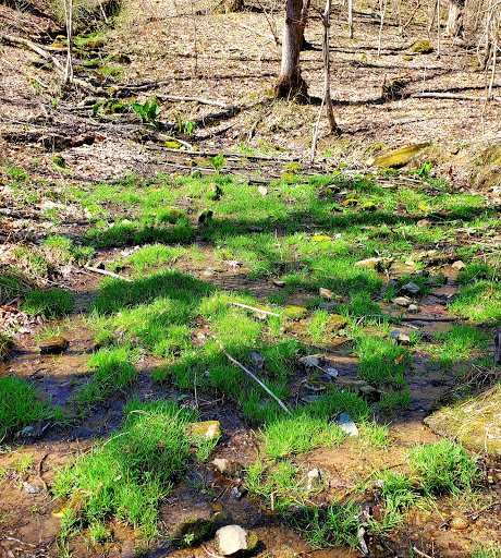 Non-Profit Organization «Blue Ridge Center For Environmental Stewardship», reviews and photos, 11661 Harpers Ferry Rd, Purcellville, VA 20132, USA