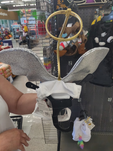 Pet Supply Store «Petco Animal Supplies», reviews and photos, 1824 E Katella Ave, Orange, CA 92867, USA