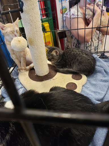 Pet Supply Store «PetSmart», reviews and photos, 1733 S Stapley Dr, Mesa, AZ 85204, USA