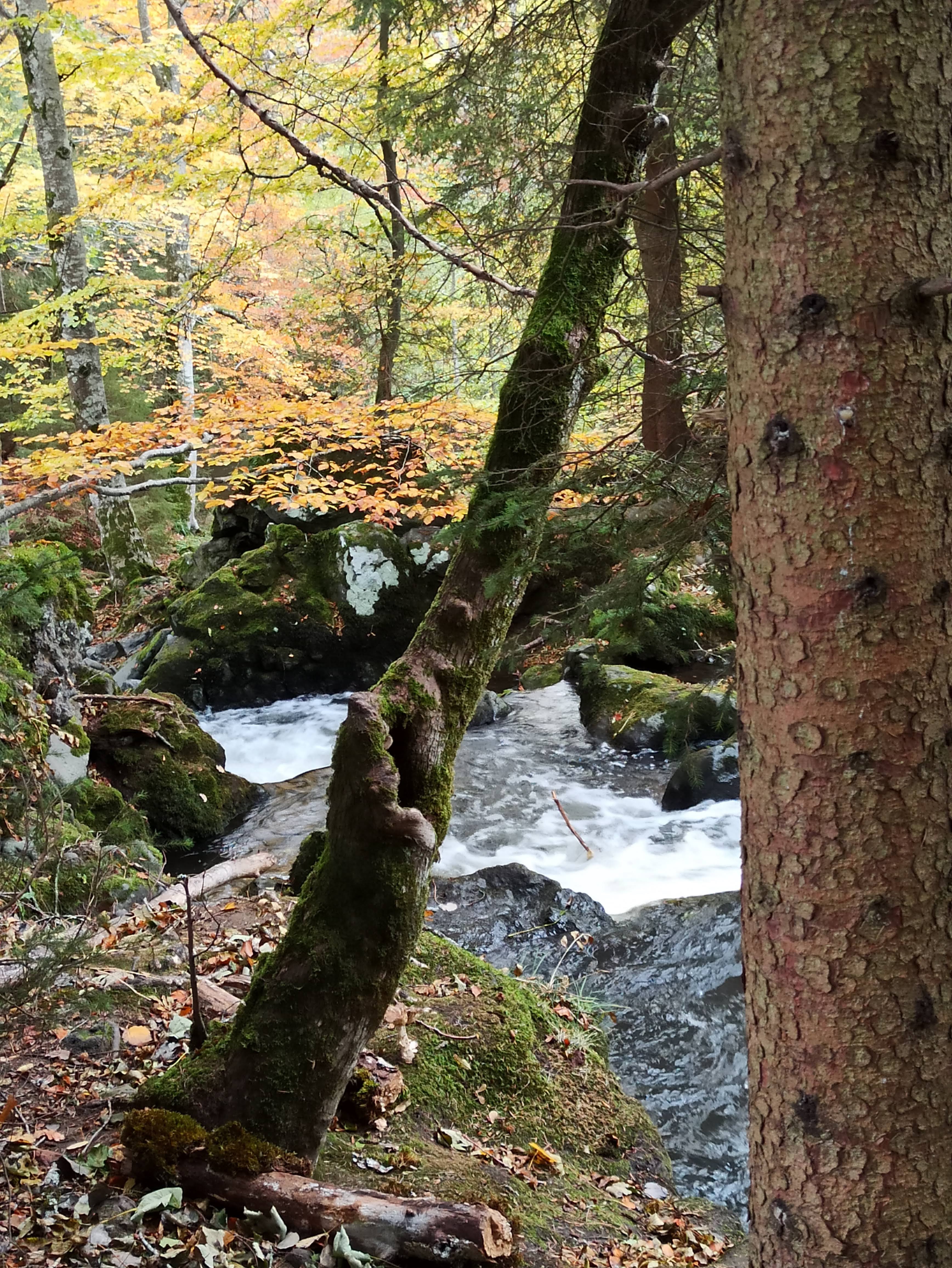 Photo n° 14 de l'avis de GAELLE.e fait le 24/10/2020 à 09:23