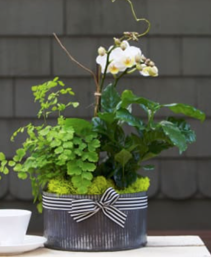 Florist «Sellwood Flower Company», reviews and photos, 8215 SE 13th Ave, Portland, OR 97202, USA