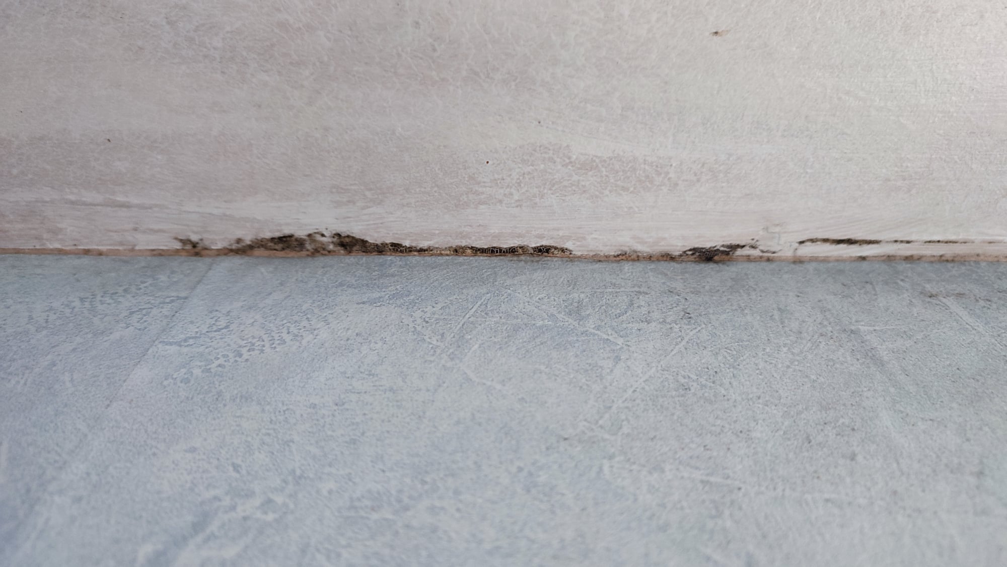 Photo n° 3 de l'avis de Barbara.o fait le 18/04/2023 à 20:16