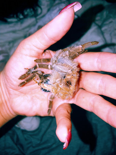 Pet Supply Store «Feeders Supply», reviews and photos, 1610 Ring Rd, Elizabethtown, KY 42701, USA