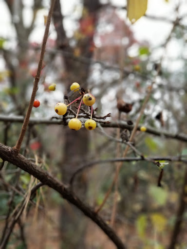 State Park «Bethpage State Park», reviews and photos, 99 Quaker Meeting House Rd, Farmingdale, NY 11735, USA