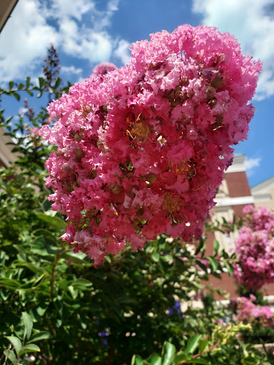 Movie Theater «Regal Cinemas Palladium 14 & IMAX», reviews and photos, 5830 Samet Dr, High Point, NC 27265, USA