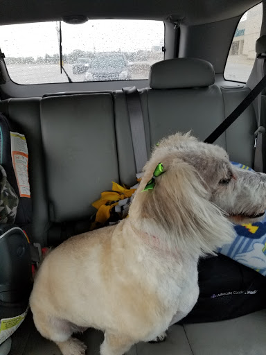 Pet Supply Store «Petco Animal Supplies», reviews and photos, 436 E Rollins Rd, Round Lake Beach, IL 60073, USA