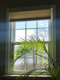 Window Nation - Photo 3 - Car repair in Worthington, OH, Columbus