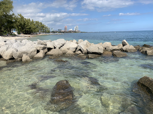 Park «Historic Virginia Key Beach Park», reviews and photos, 4020 Virginia Beach Dr, Miami, FL 33149, USA