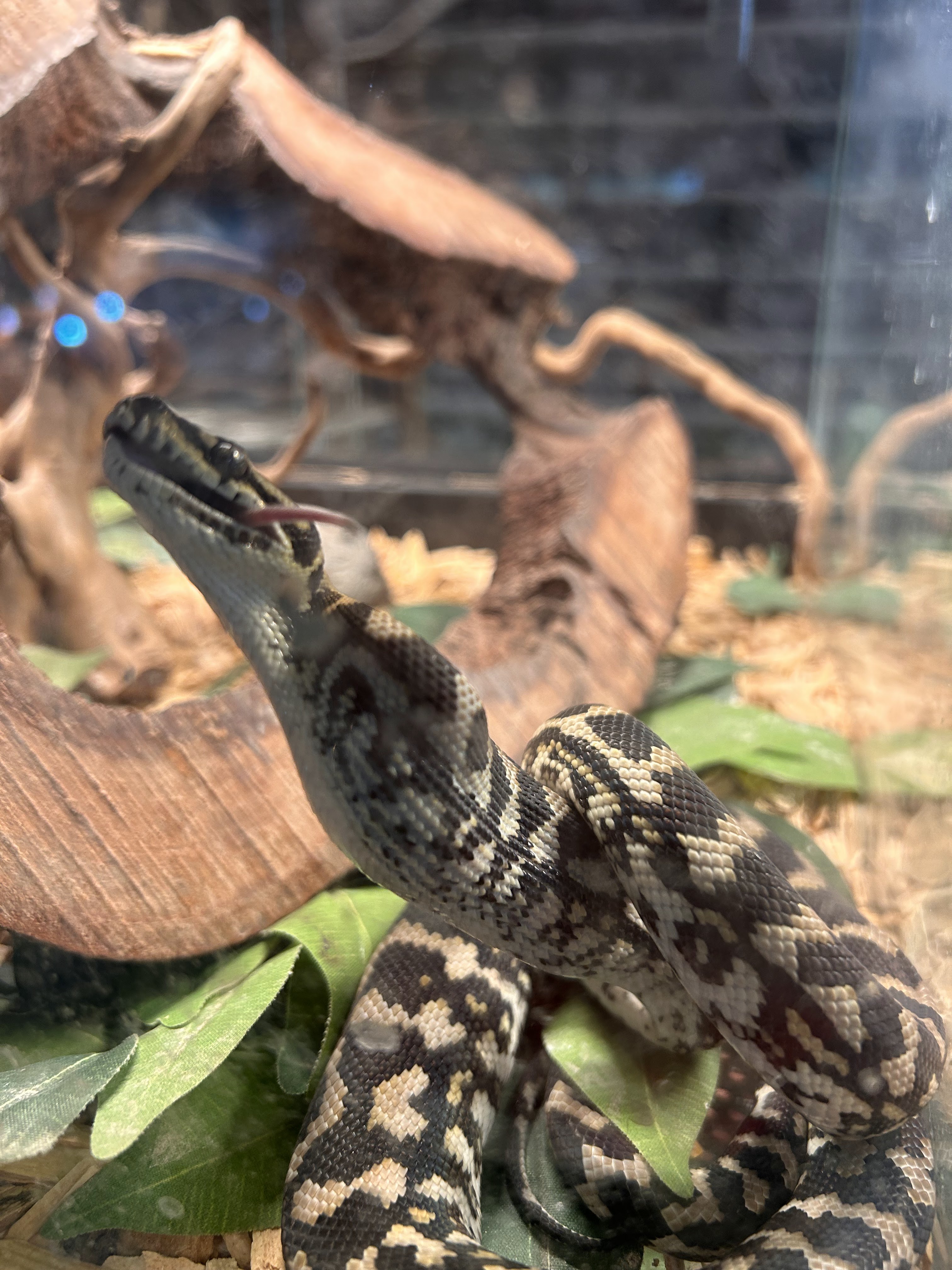 Photo n° 2 de l'avis de Adeline. fait le 18/08/2023 à 22:13