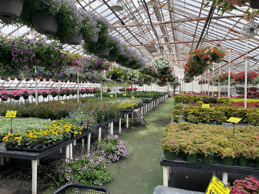 Florist «Bayport Flower Houses, Inc.», reviews and photos, 940 Montauk Hwy, Bayport, NY 11705, USA