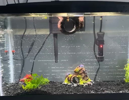 Pet Supply Store «Pet Supplies Plus», reviews and photos, 126 E Main St, Smithtown, NY 11787, USA