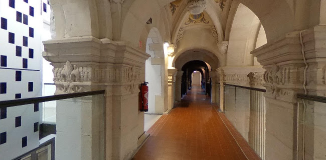 Sciences Po Lille - Université