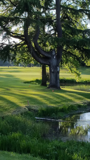 Golf Course «Oakway Golf Course», reviews and photos, 2000 Cal Young Rd, Eugene, OR 97401, USA