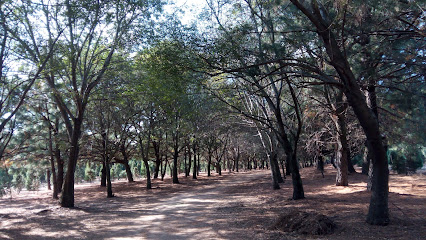 Parque Forestal San Nicolás