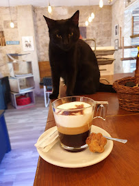 Photos du propriétaire du Restaurant La compagnie des chats à Avignon - n°7