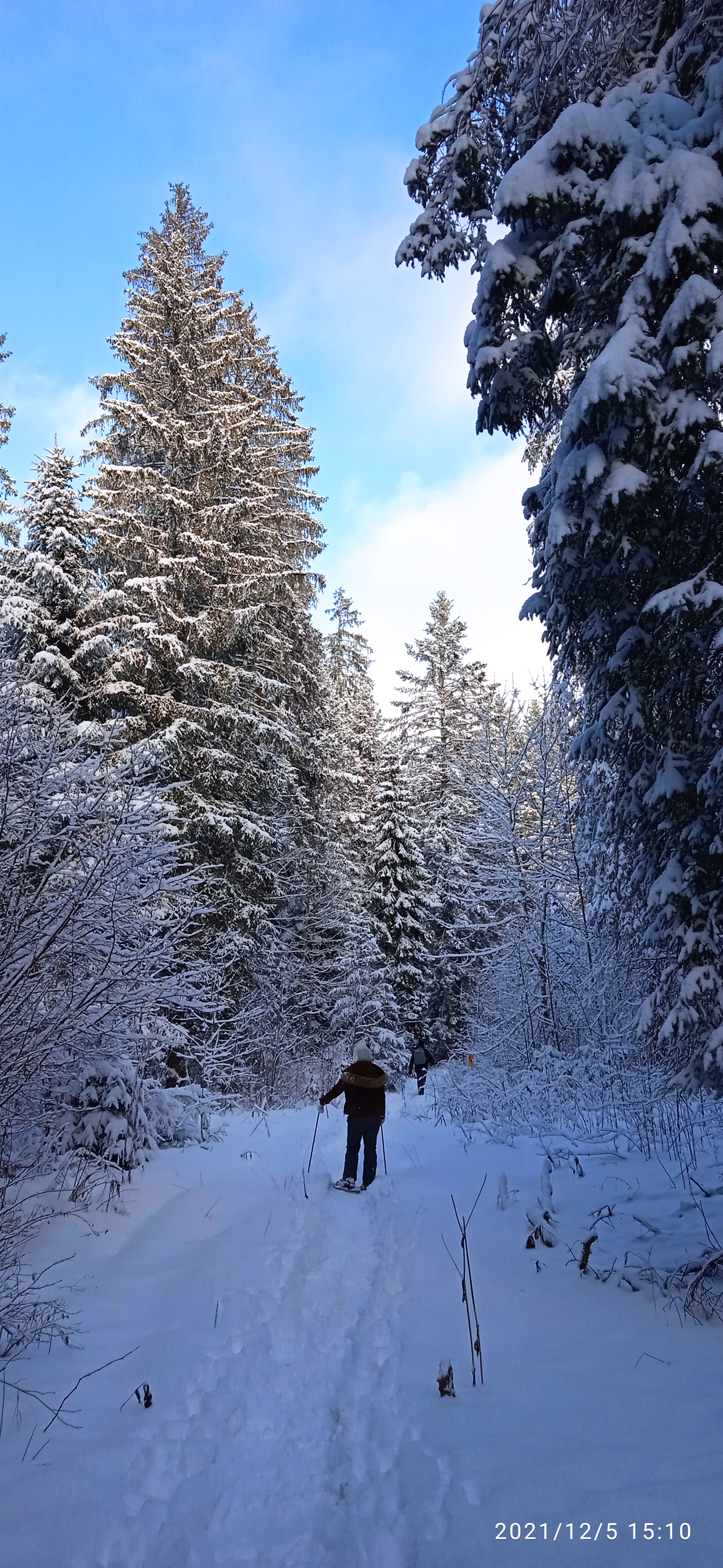 Photo n° 2 de l'avis de Laurence-Hélène.e fait le 13/12/2021 à 06:47