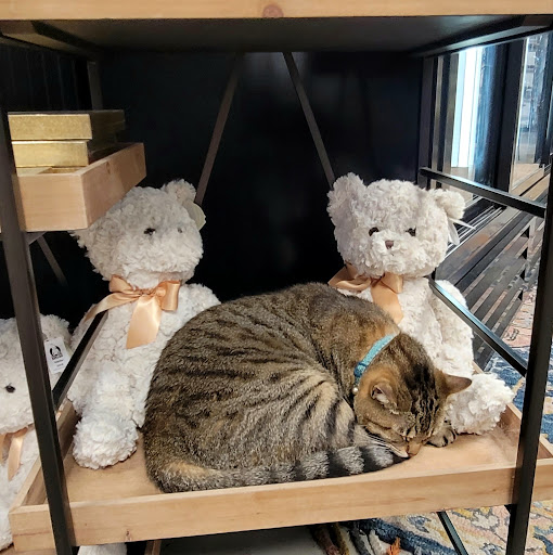 Florist «In Bloom Florist- Orlando, Florida», reviews and photos, 325 W Gore St, Orlando, FL 32806, USA