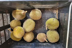 Mt Ophir Durian (Wholesale) image